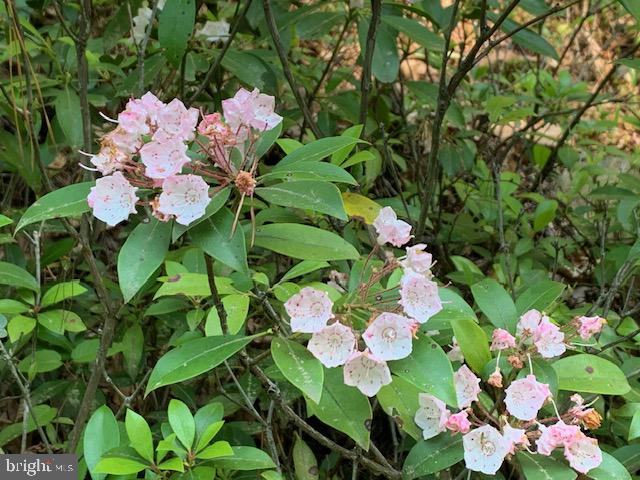 NONE AVAILABLE - Land