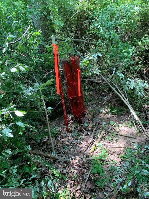 NONE AVAILABLE - Land