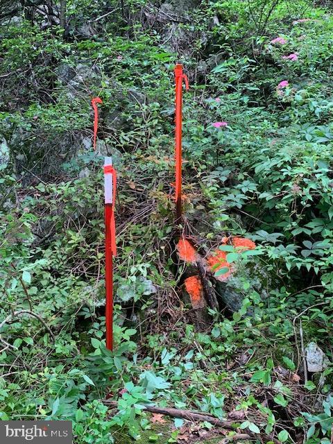 NONE AVAILABLE - Land