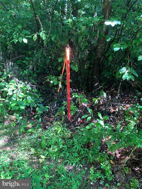 NONE AVAILABLE - Land