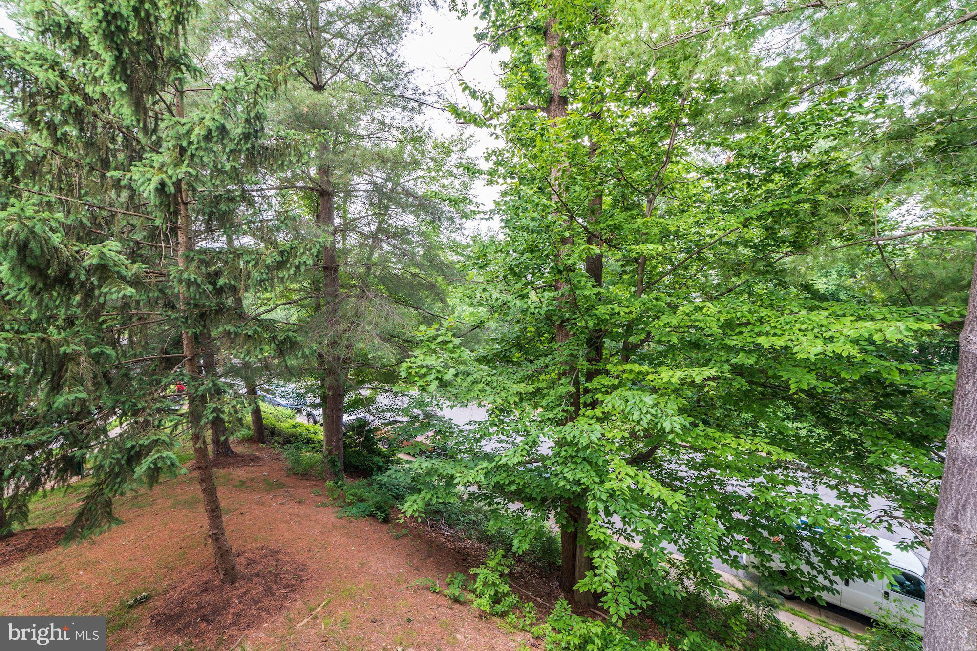 RAMBLEWOOD AT DAVENTRY - Residential