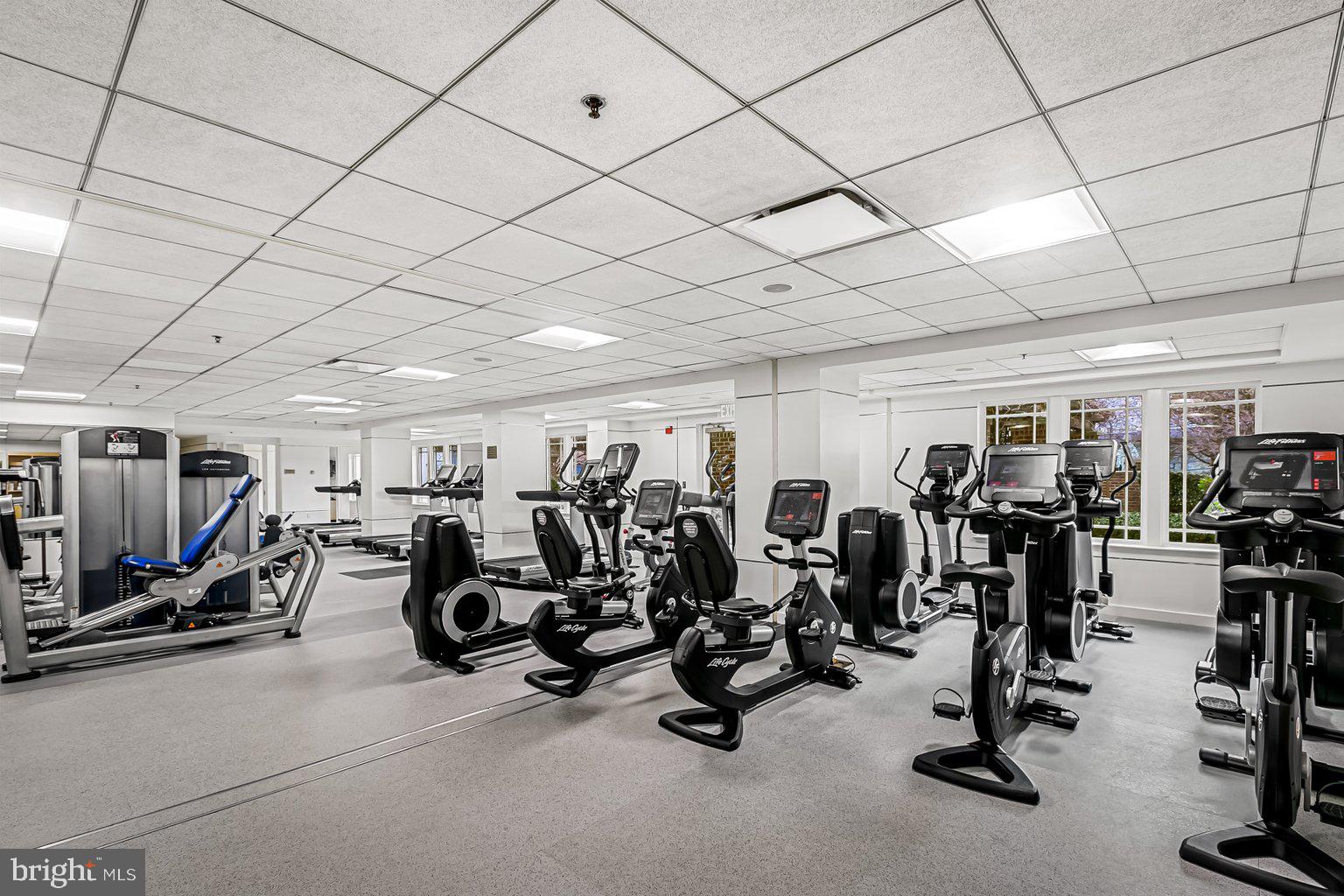 THE RITZ-CARLTON RESIDENCES - Residential