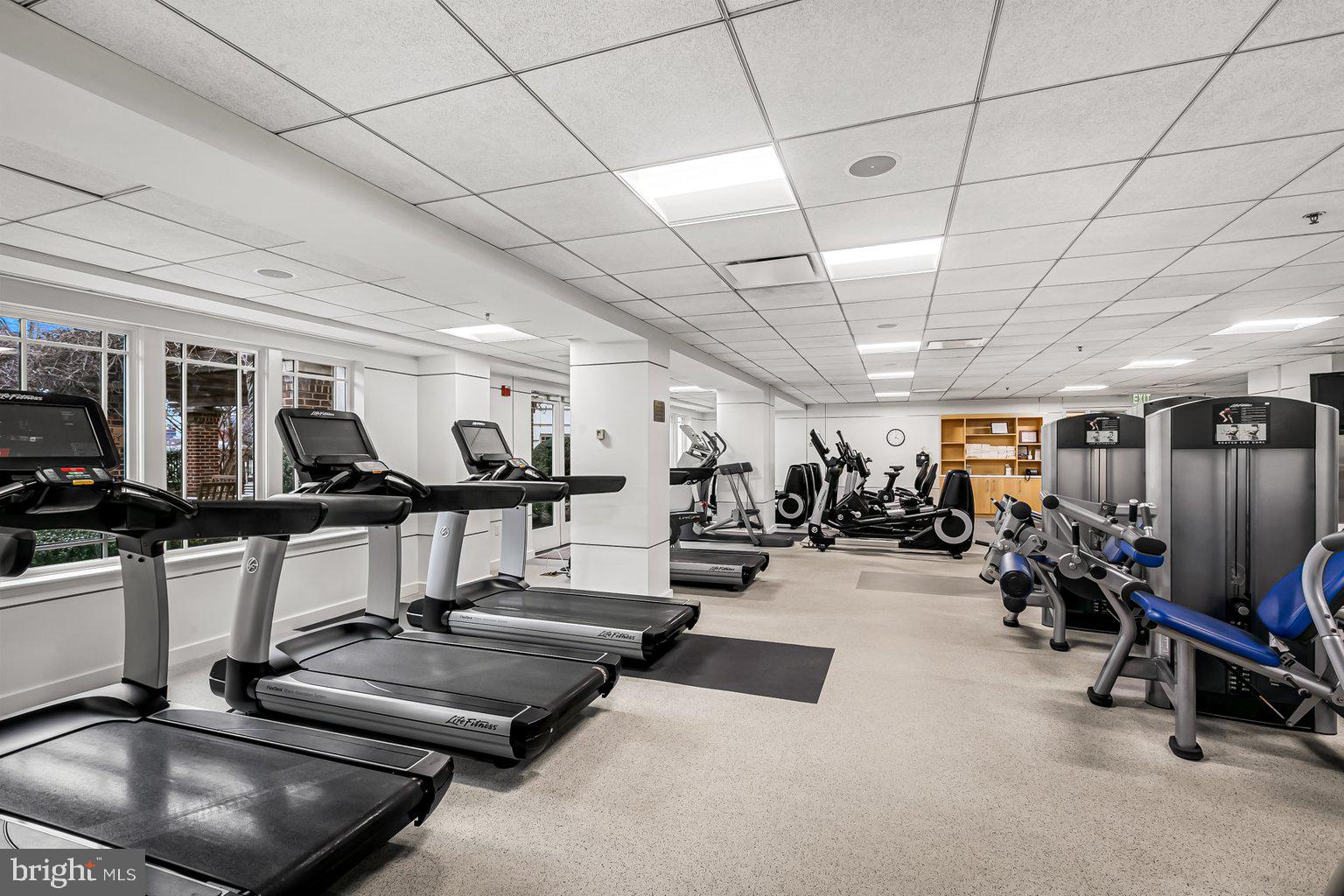 THE RITZ-CARLTON RESIDENCES - Residential