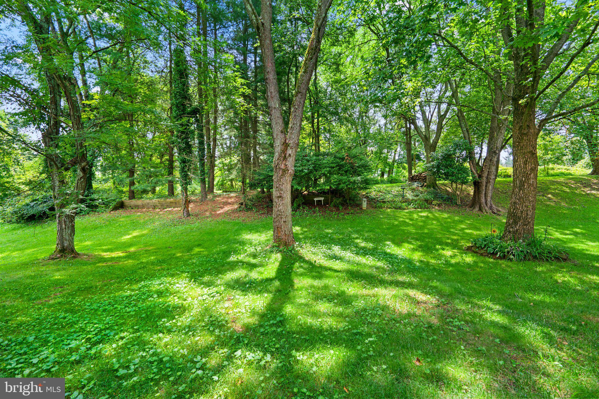 CHIPPENDALE - Residential