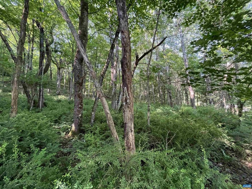 Your Mountain Escape Awaits! Tucked away in the serene heart of Montebello, this stunning 5-acre wooded parcel offers the perfect mountain getaway. Bordering the State Fish Hatchery and elevated at approximately 2,800 feet, this property provides cool breezes, peaceful seclusion, and a true ?top of the world? feel. Just minutes from some of Virginia?s most iconic outdoor destinations: Crabtree Falls, the Blue Ridge Parkway, and the Appalachian Trail; you?ll have endless adventures right at your doorstep. Whether you're dreaming of a private cabin, a weekend retreat, or an investment in nature, this parcel offers unmatched tranquility and unbeatable access to the best of the Blue Ridge. Get away from it all and discover the mountaintop lifestyle you've been dreaming of!