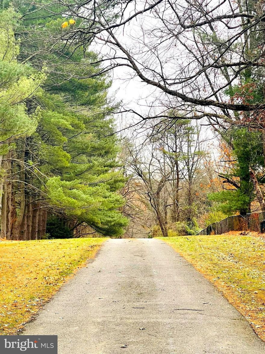 LOT1 5 ACRES LOT2 5 ACRES LOT3 8+ ACRES, good for Estate homes.
New release! 3 private estate homesites available. Build your dream estate home. Bring your own plans. These lots are not attached to any builder, the choice is yours. 18-acre parcel is unique opportunity. 3 homesites available individually or build your own family compound and purchase all 3. The 3 lots are approved by the county. County in process of approving developers’ agreement. Lots are perc'd and with wells. Lot 1 is a 5-acre lot. Lot 2 is a 5-acre lot. Lot 3 is 8.63-acre lot. Located in the heart of Howard County with easy access to DC. Near Pindell Woods community and several other custom homes in the $1.5-2.5 million range. Minutes from I-95, 32, 29 and downtown Columbia. Very close to the Maple Lawn community.