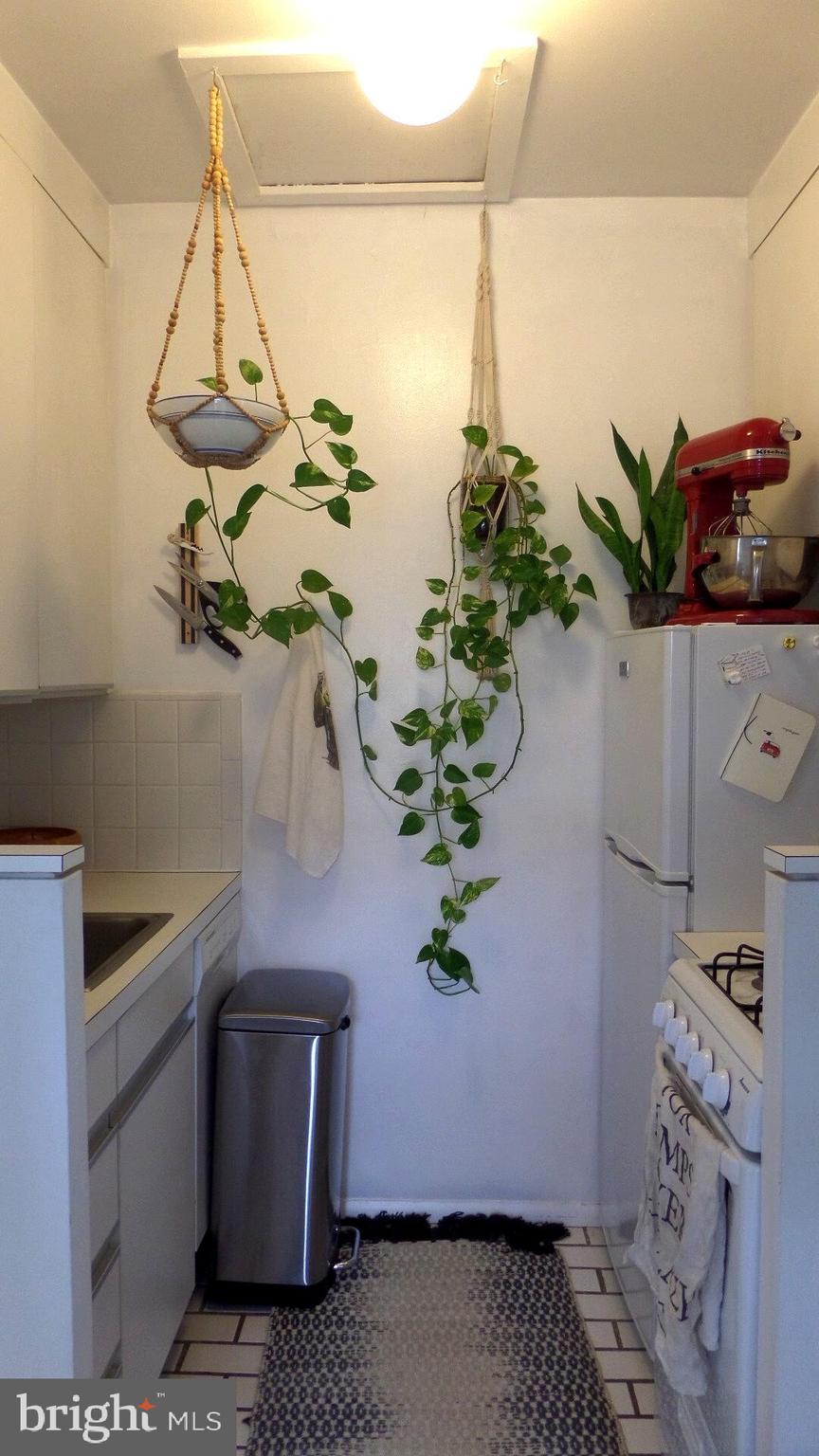 OLD TOWN - Residential Lease