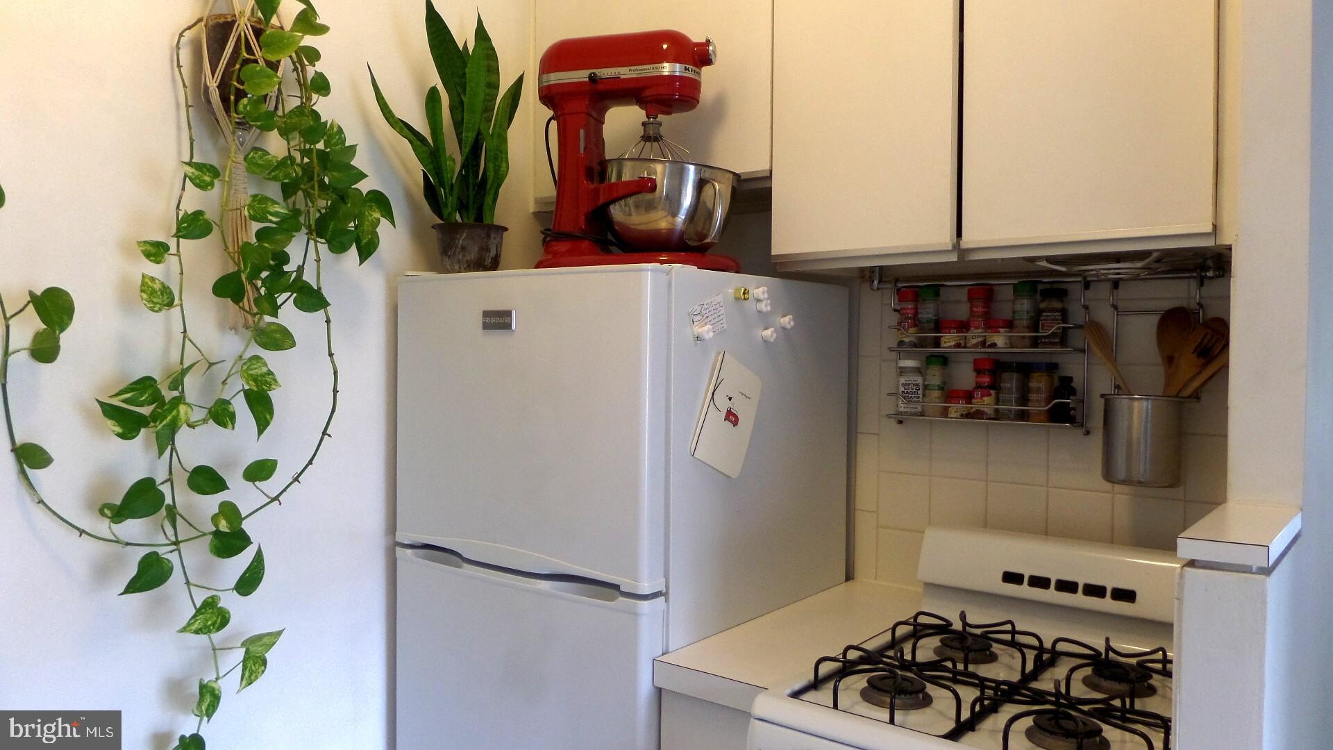 OLD TOWN - Residential Lease