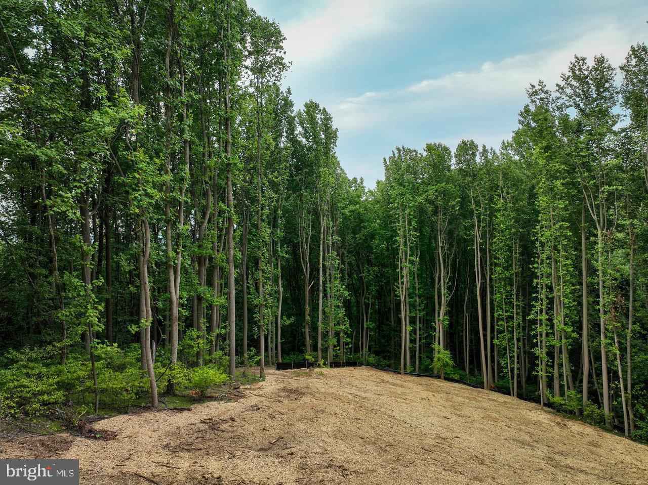 SHENANDOAH HIGHLANDS - Land
