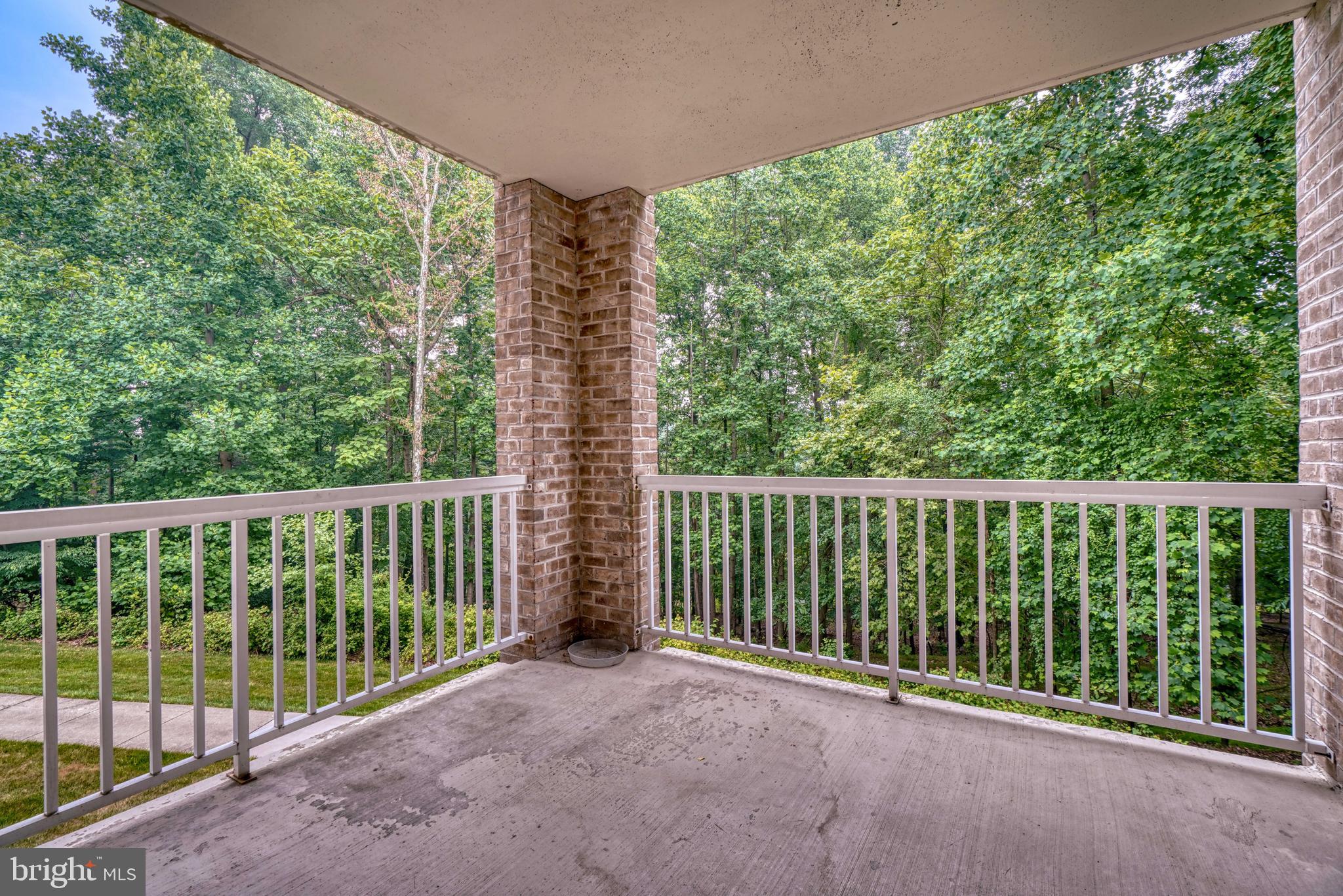 BELMONT FOREST - Residential