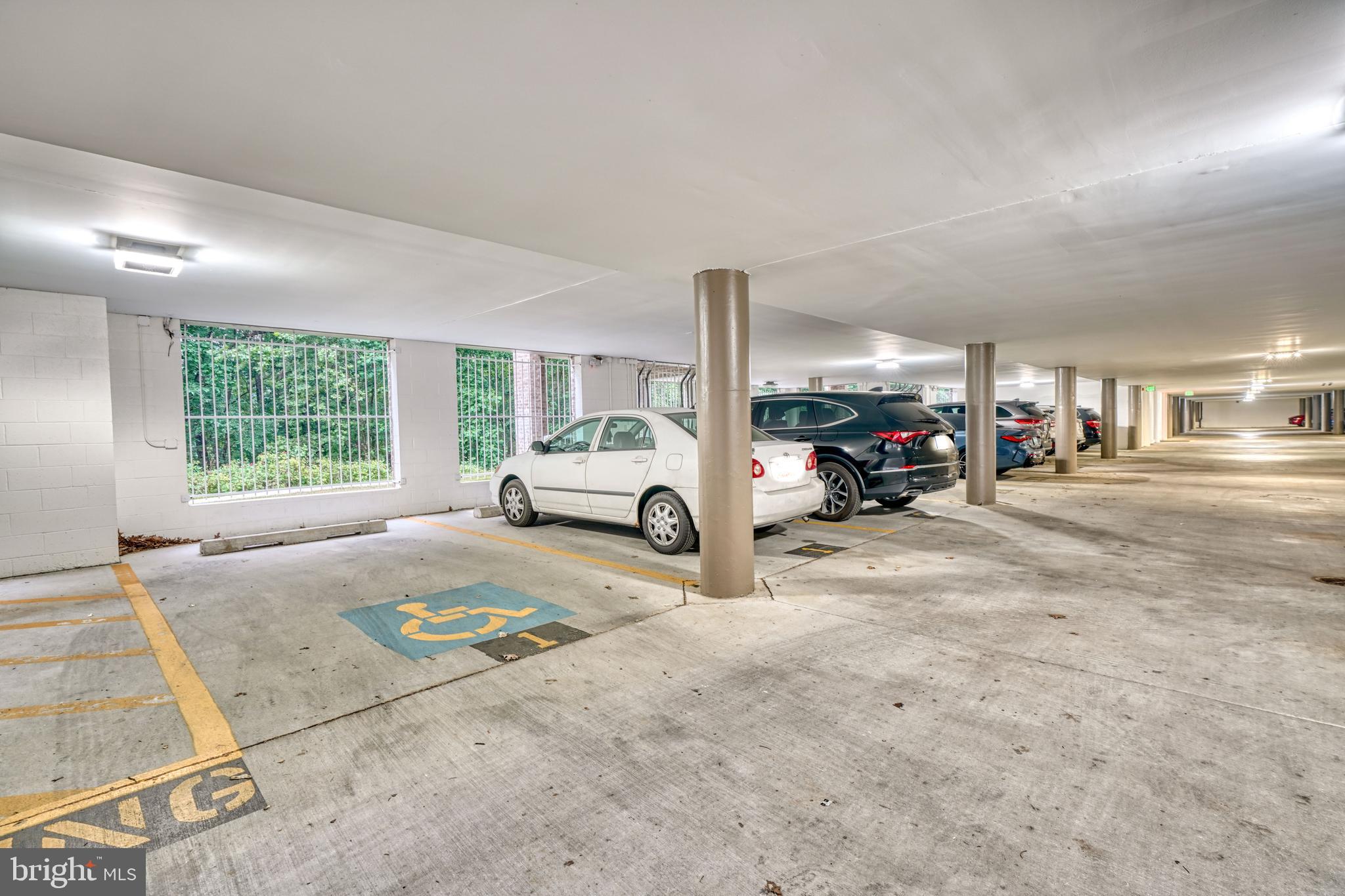 BELMONT FOREST - Residential