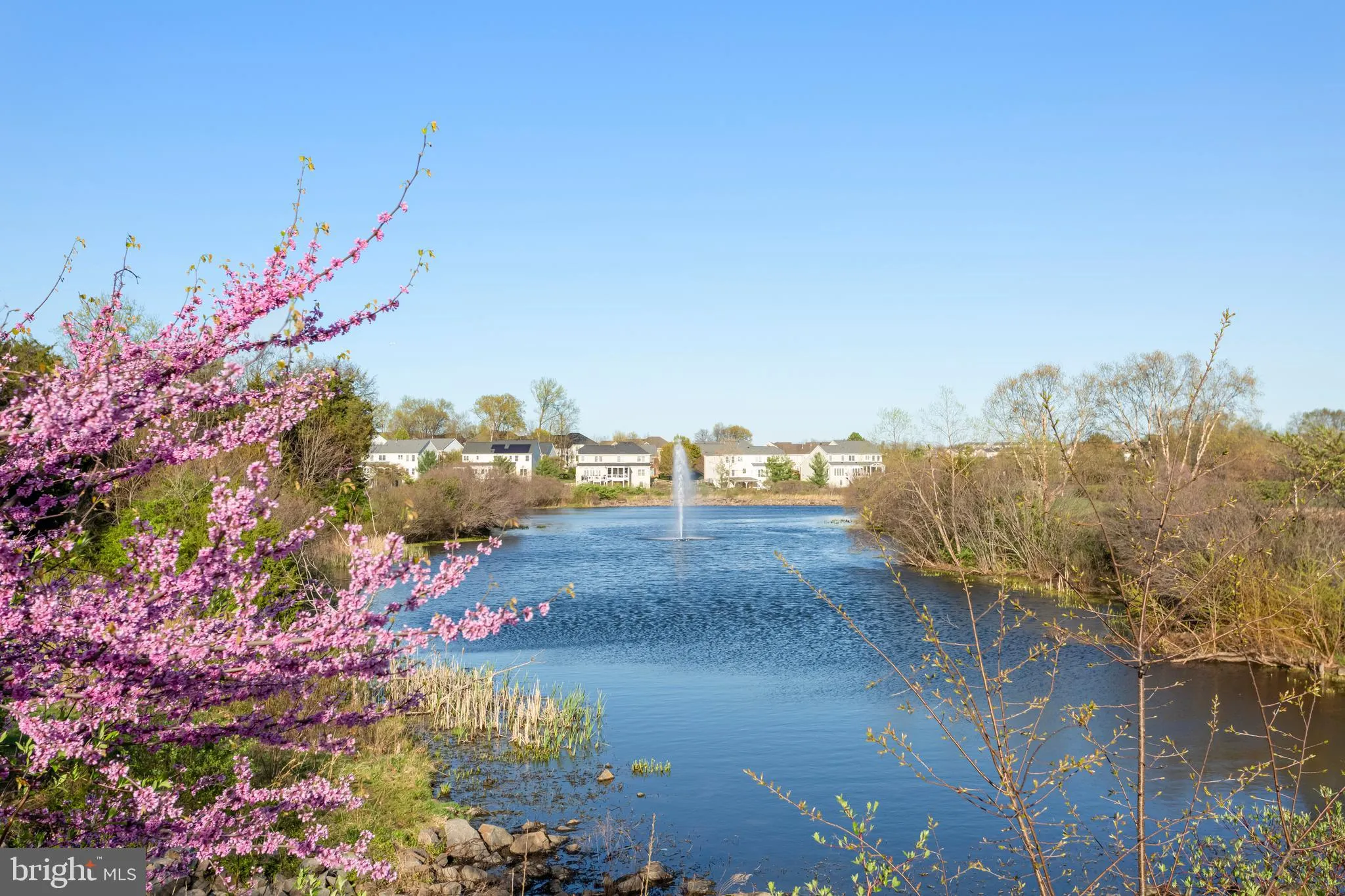 Bristow, Virginia 20136, United States, 4 Bedrooms Bedrooms, ,3 BathroomsBathrooms,Residential,Coming Soon,134952