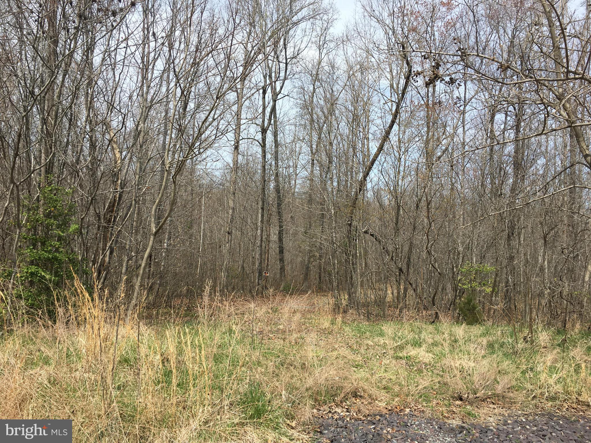 TERRYS RUN ESTATES - Land