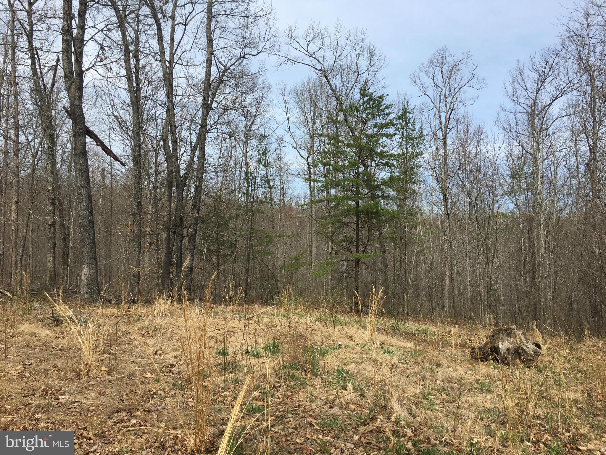 TERRYS RUN ESTATES - Land