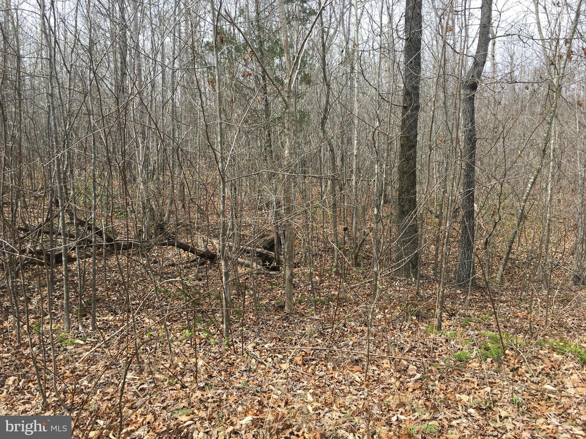 TERRYS RUN ESTATES - Land