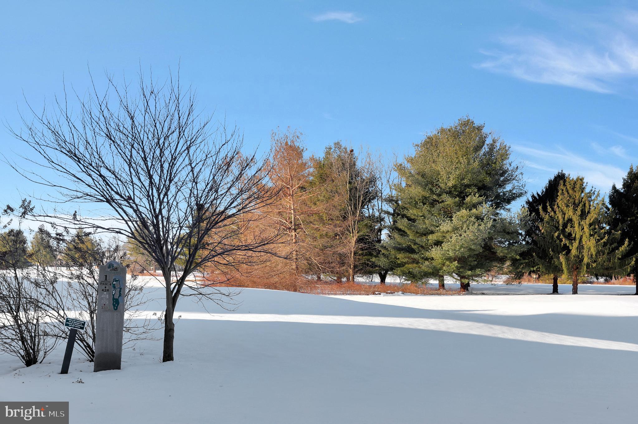 LOCUST HILL - Residential