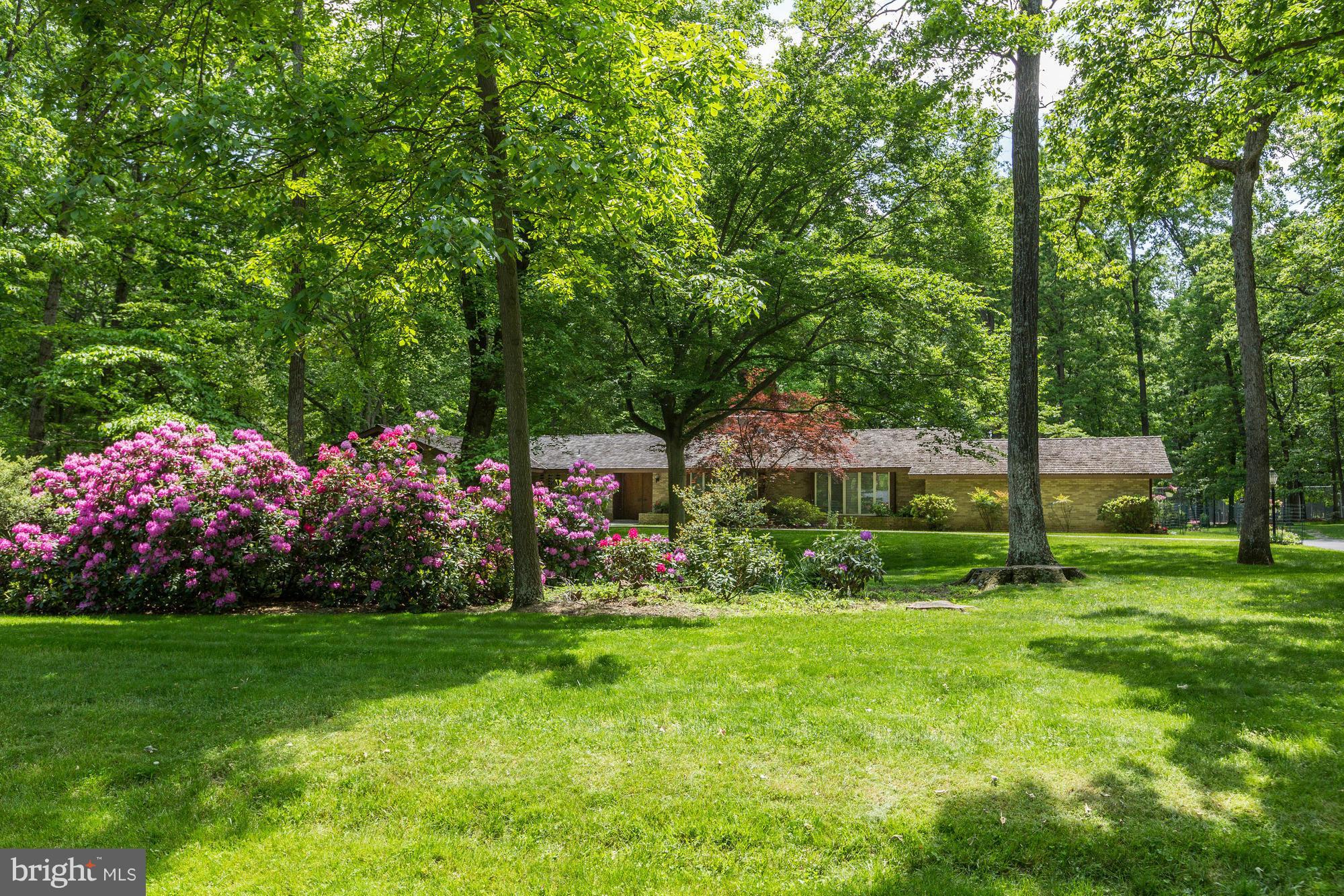 CAMOTOP - Residential