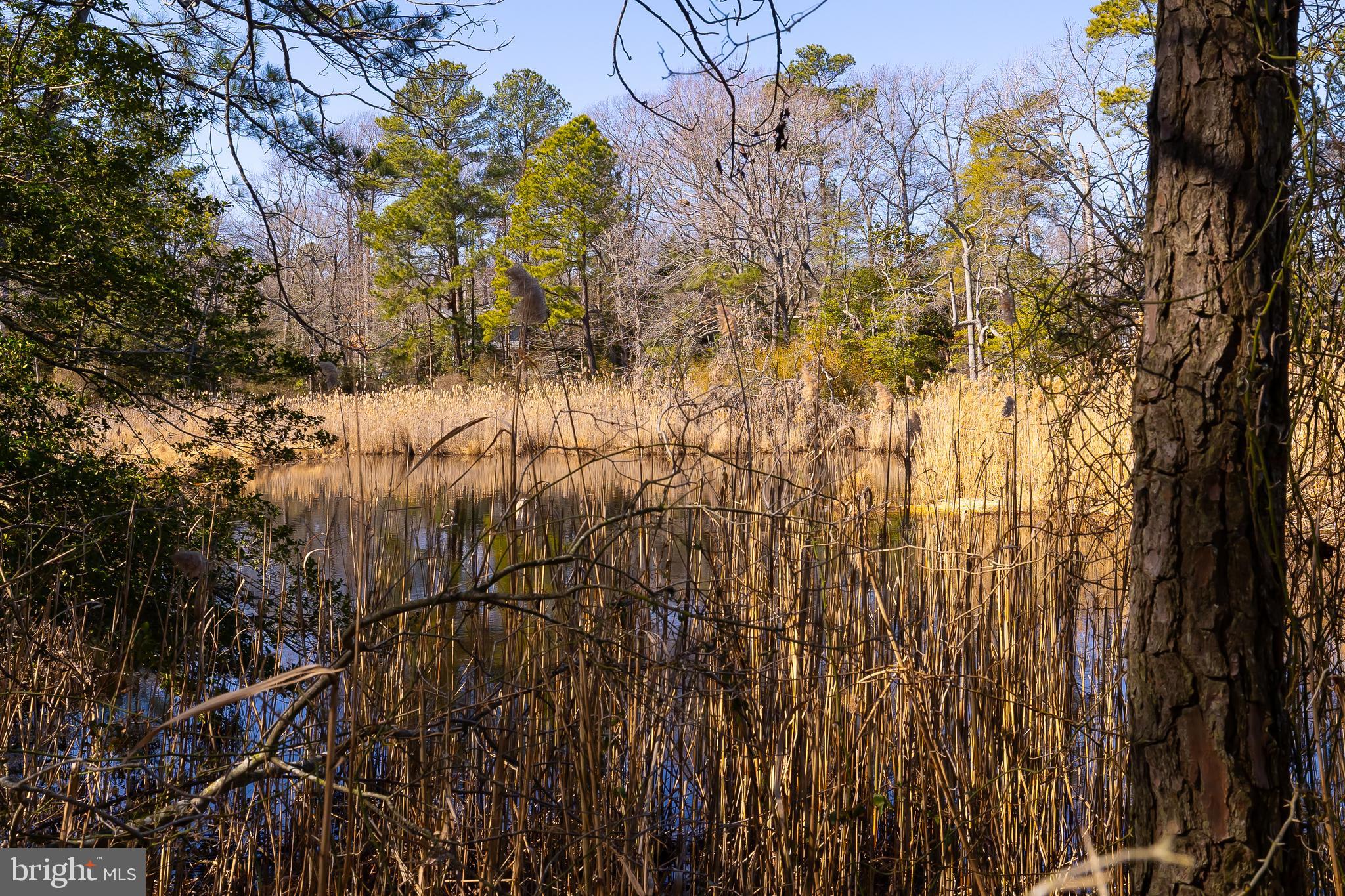 CABIN POINT / GLEBE HARBOR - Residential