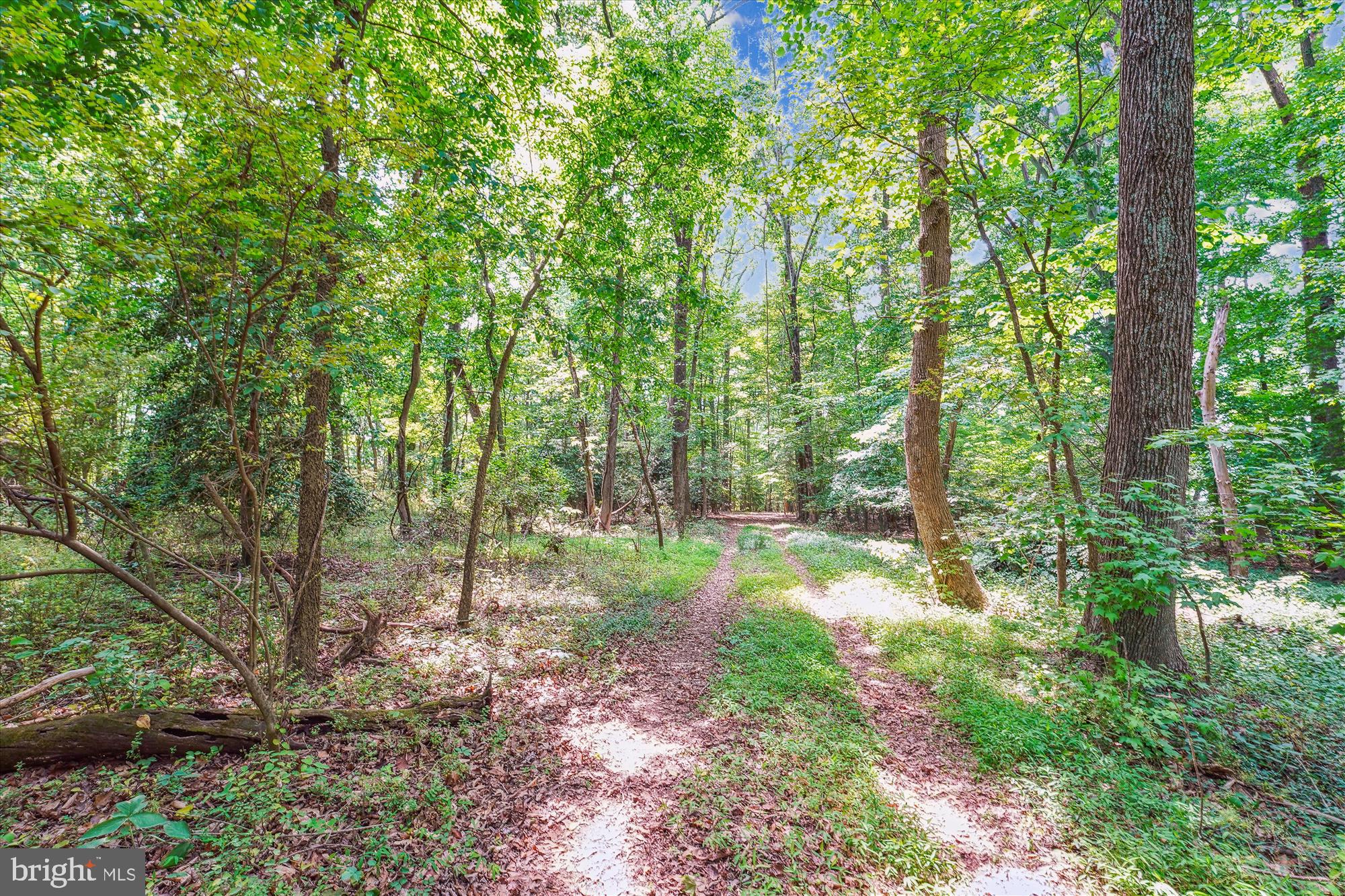 NONE AVAILABLE - Land