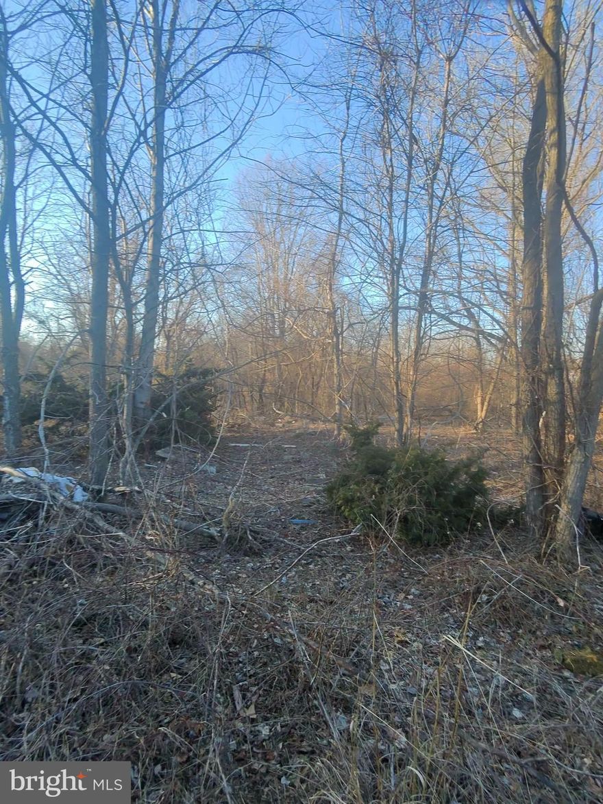 Build your dream home on this perfectly sloped lot in a peaceful community in Galena, MD.  With perc approval already in place, this property is ready for development.  Enjoy the scenic landscape and the privacy of rural living, while being just minutes away from Middletown, DE, offering easy access to shopping, dining, and major highways.  Don't miss out on this perfect opportunity to create your ideal space!