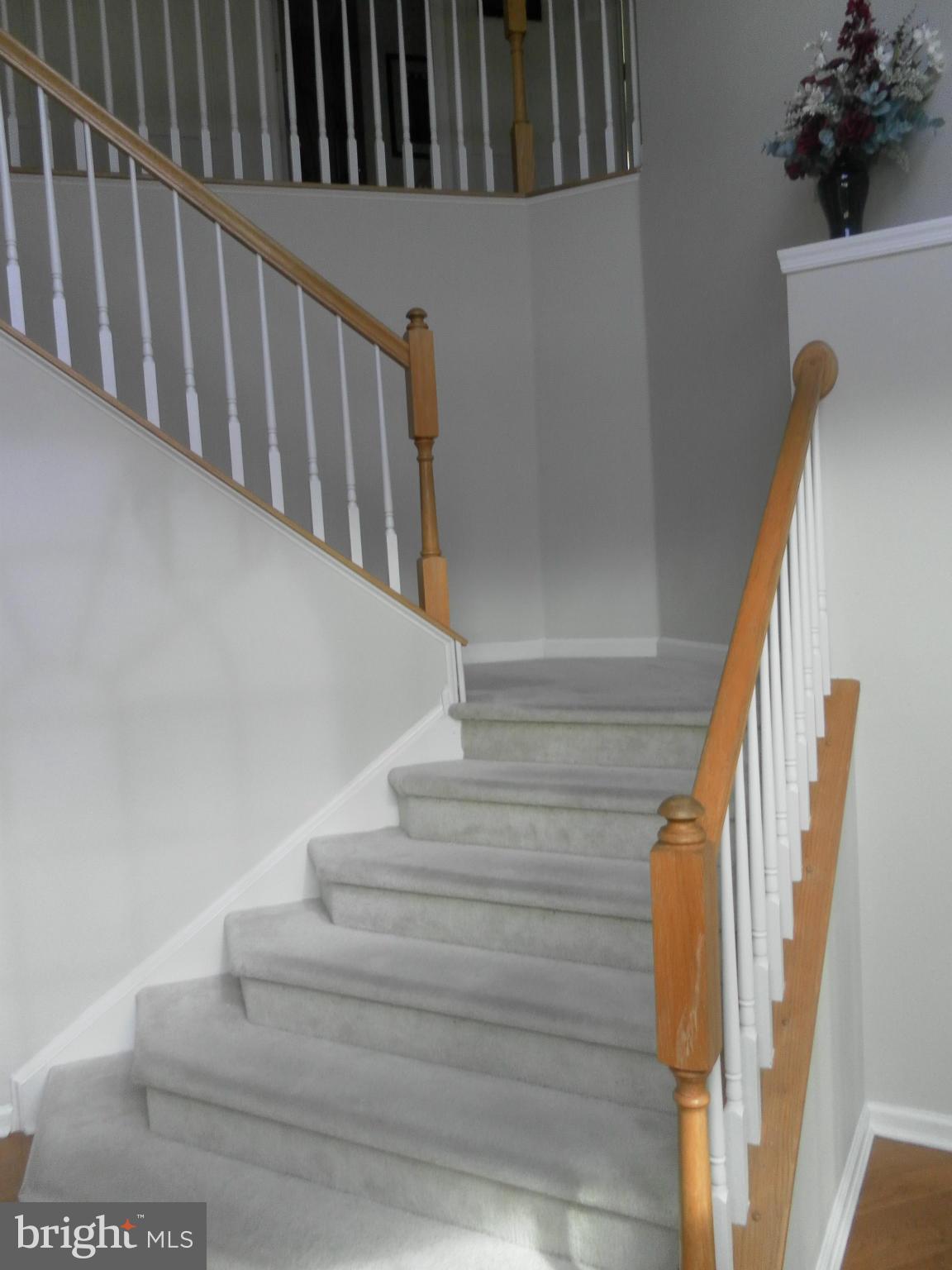 MCDONOGH OAKS - Residential