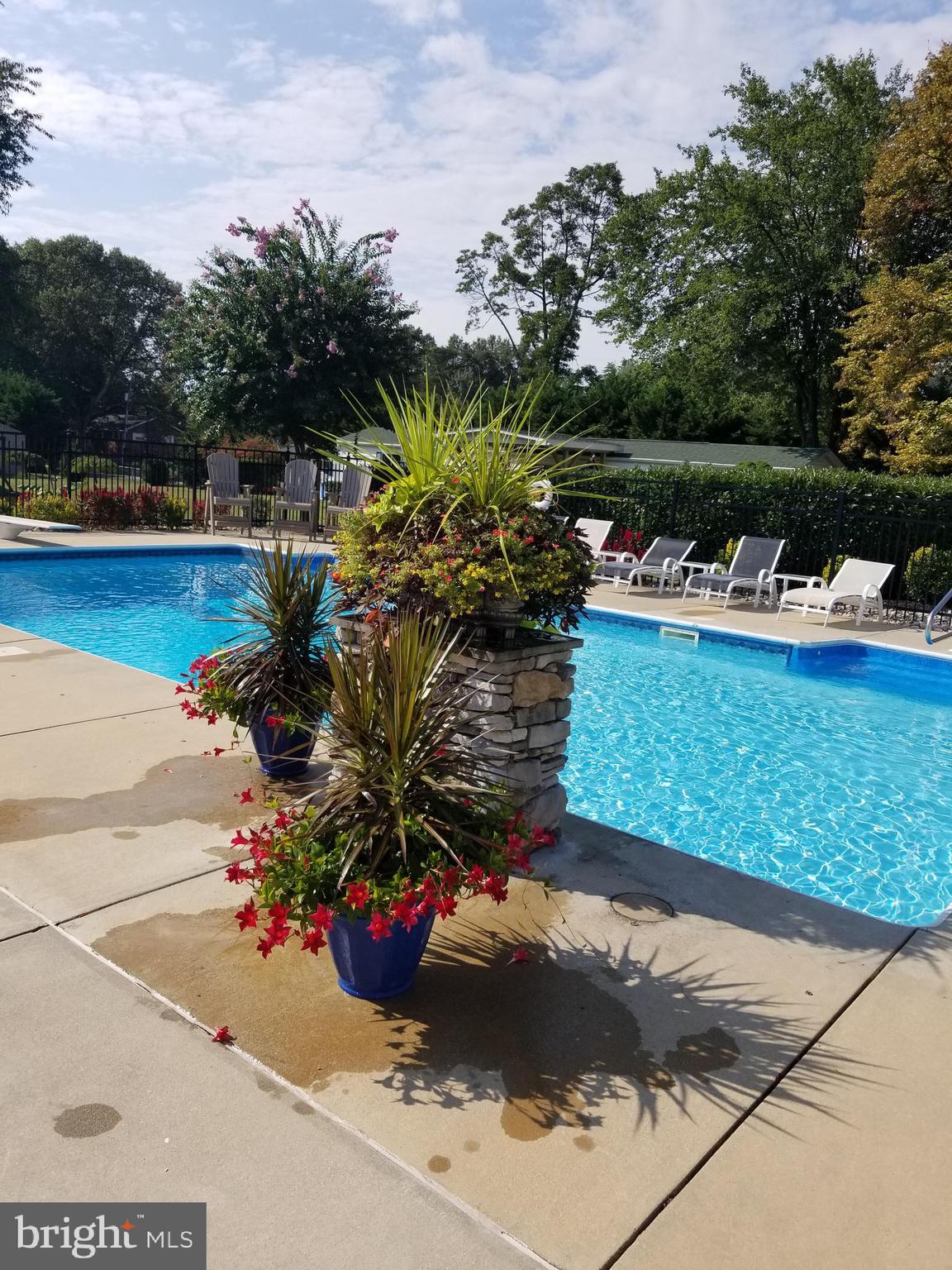 SEVERN - Residential