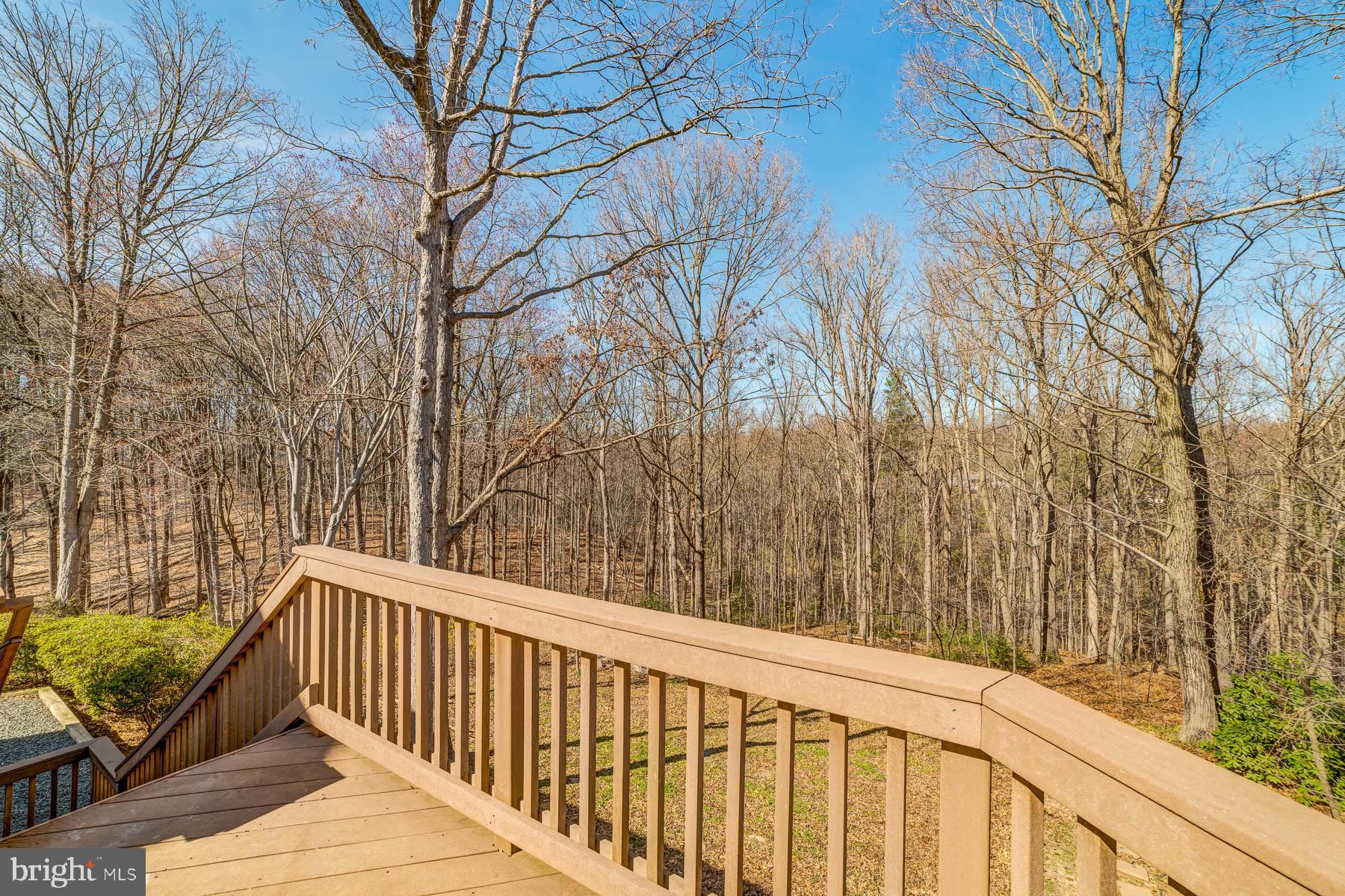 HUNTER VILLAGE - Residential