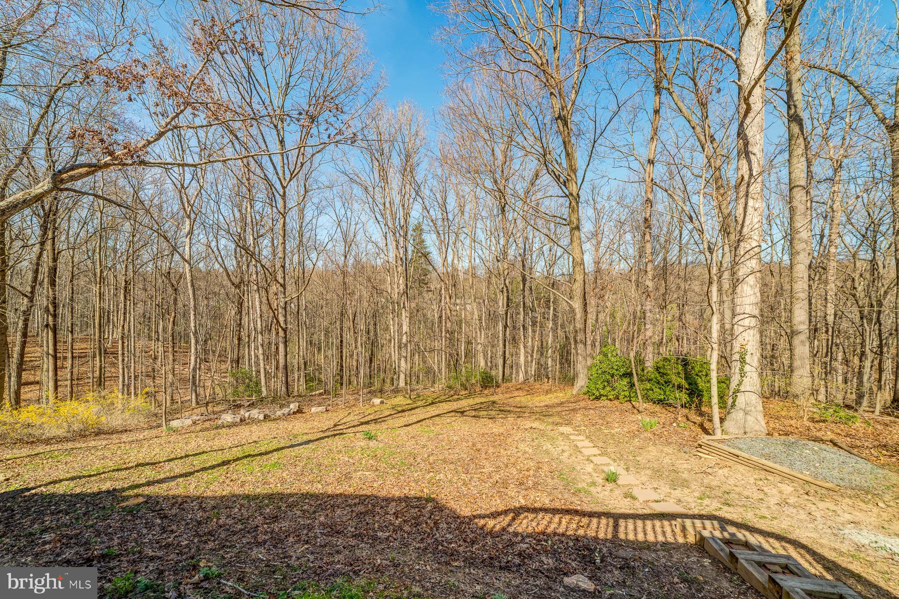 HUNTER VILLAGE - Residential