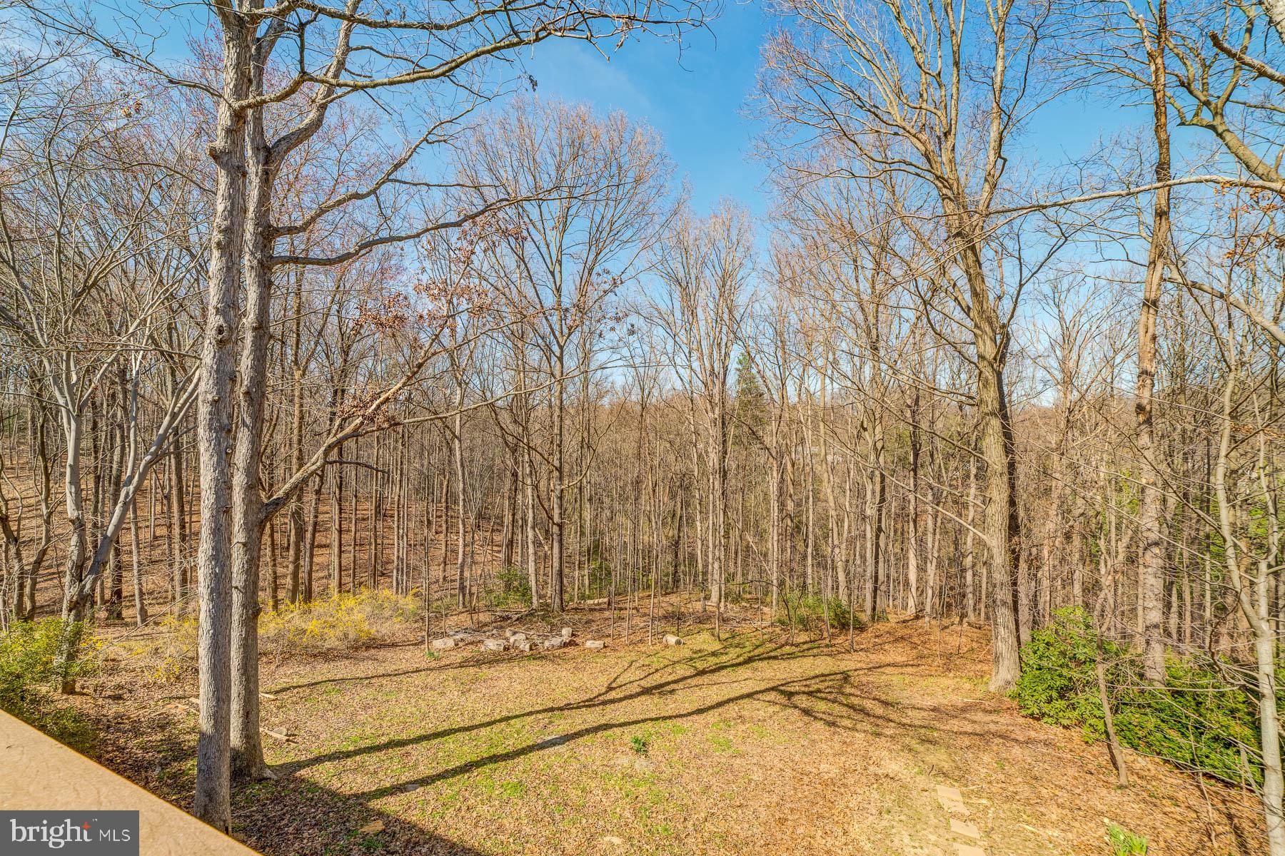 HUNTER VILLAGE - Residential