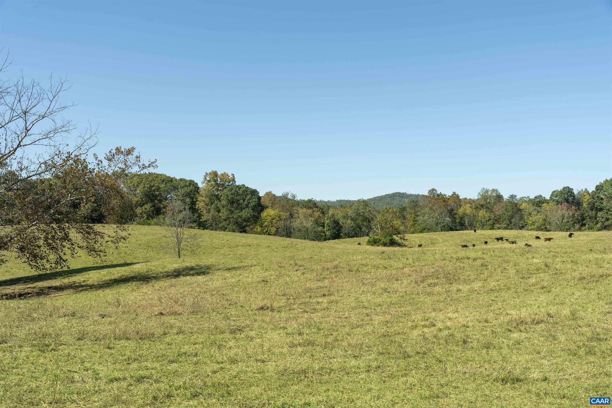 14560 MADISON RUN RD