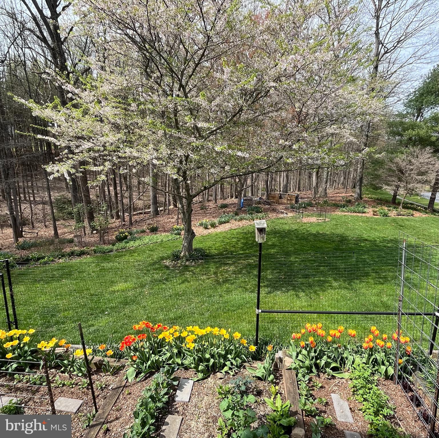 ROLLINMEAD - Residential