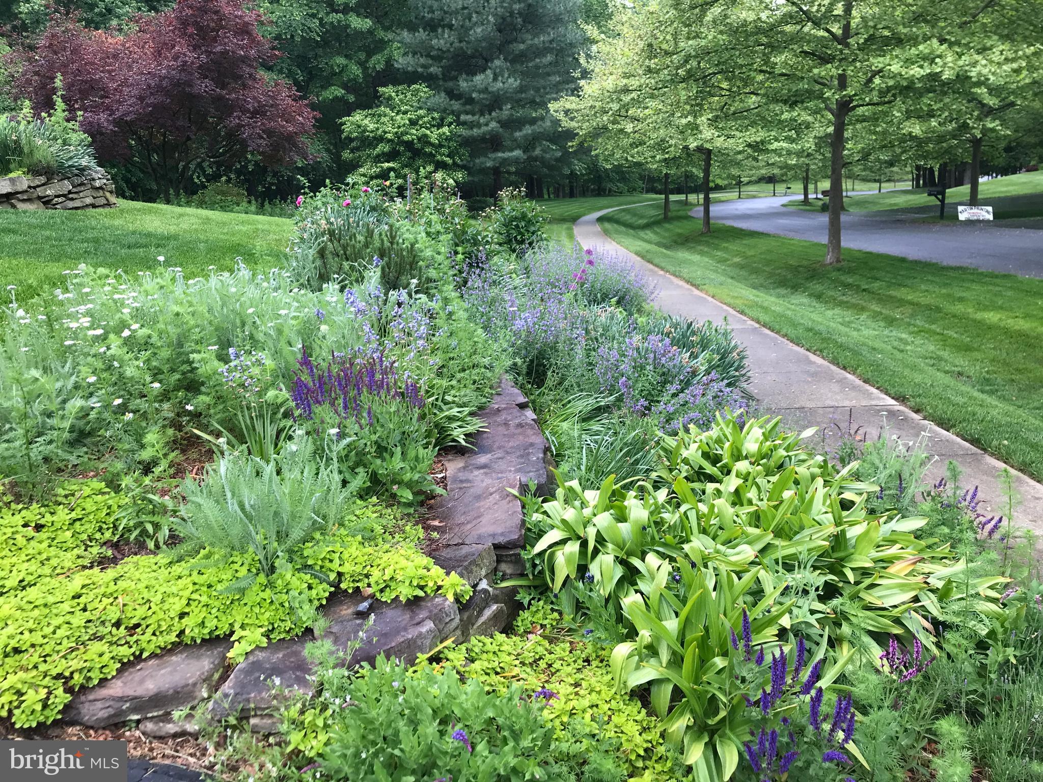 ROLLINMEAD - Residential