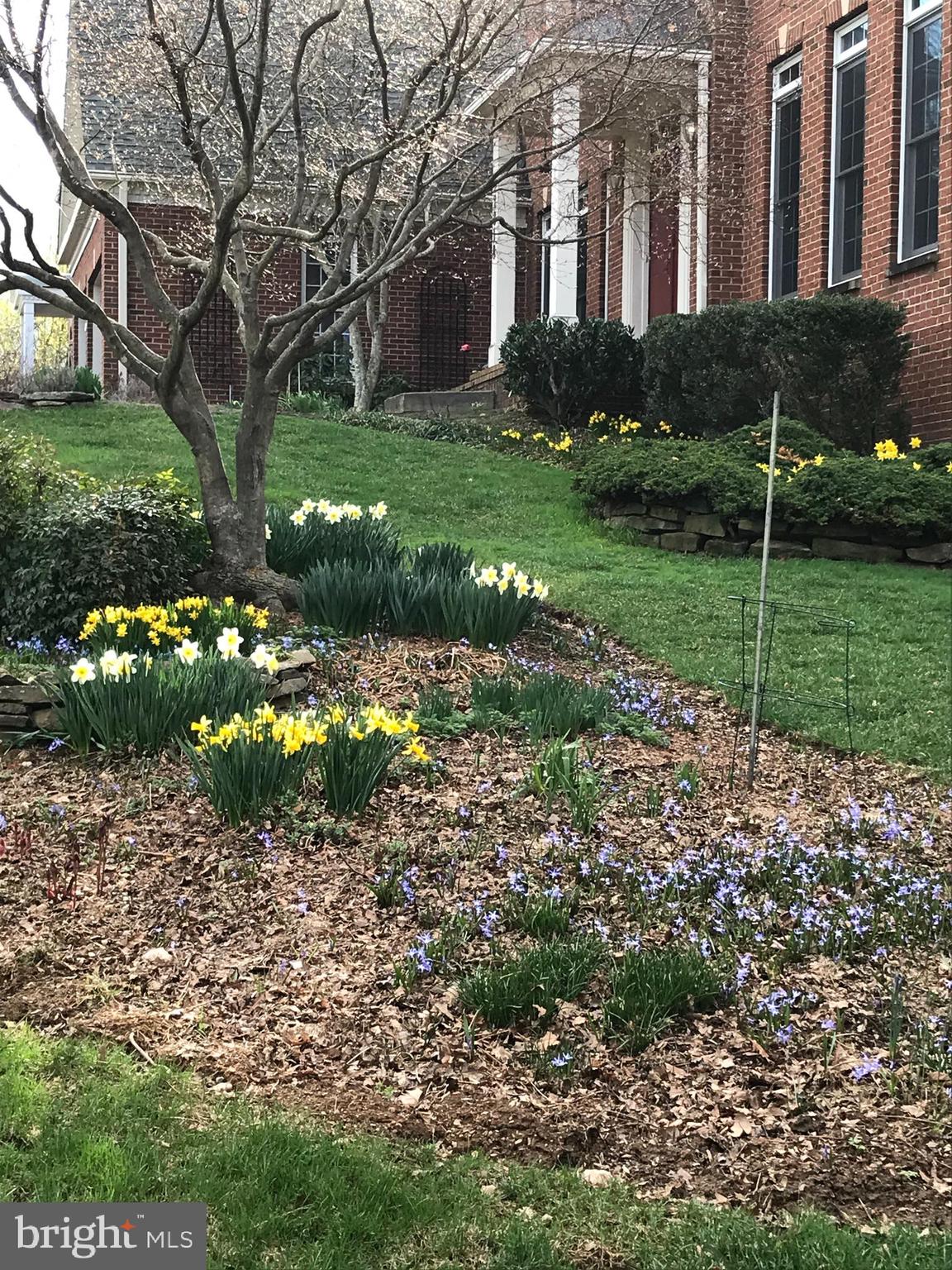 ROLLINMEAD - Residential