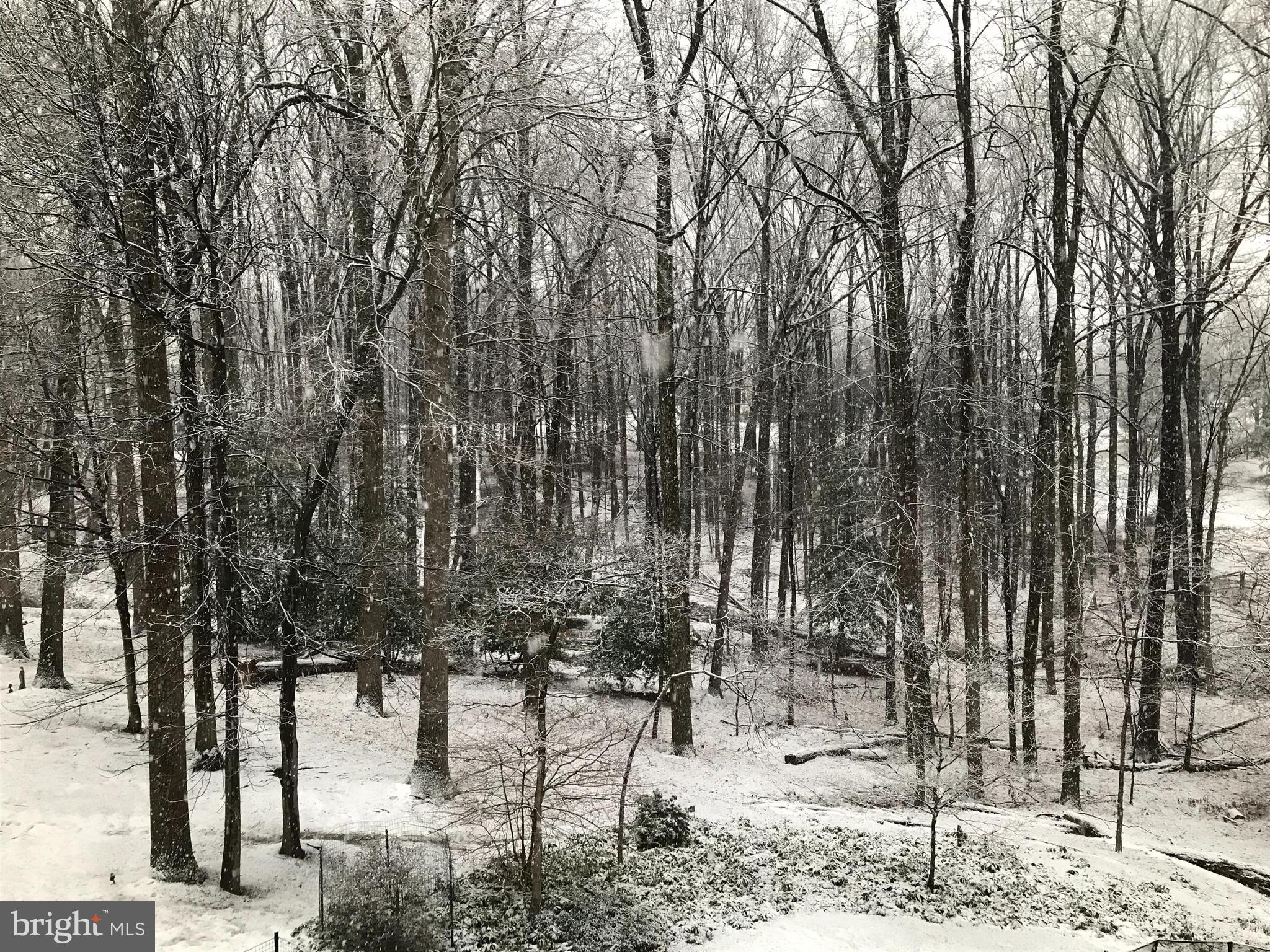 ROLLINMEAD - Residential