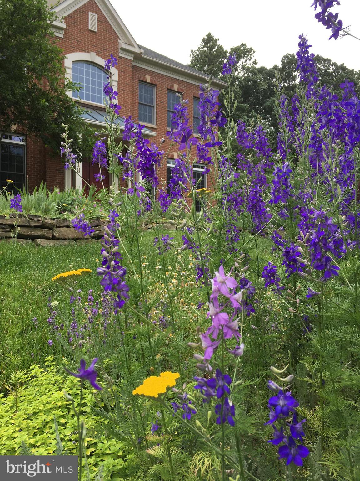 ROLLINMEAD - Residential