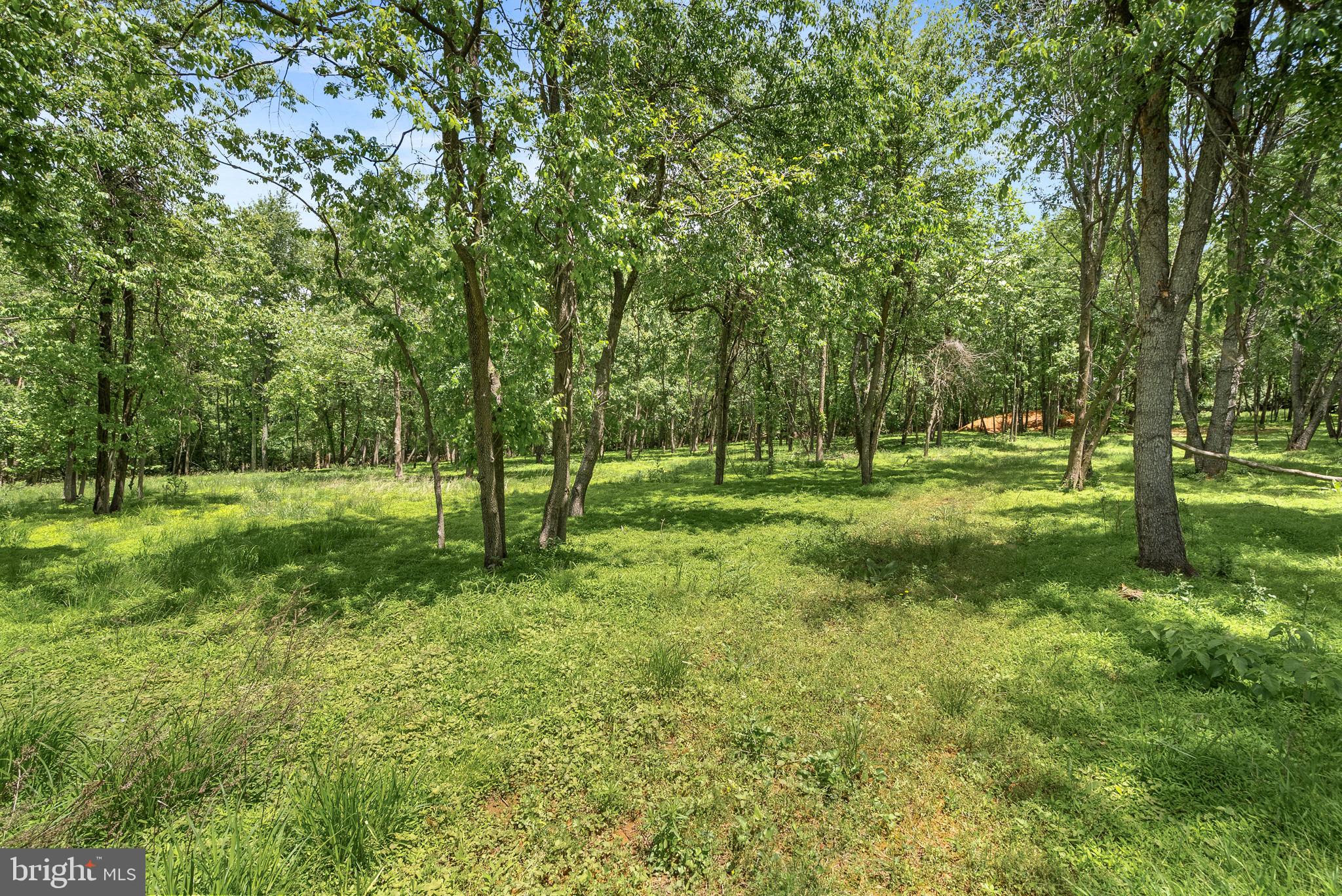 THE BLUFFS AT SLEETER LAKE - Residential
