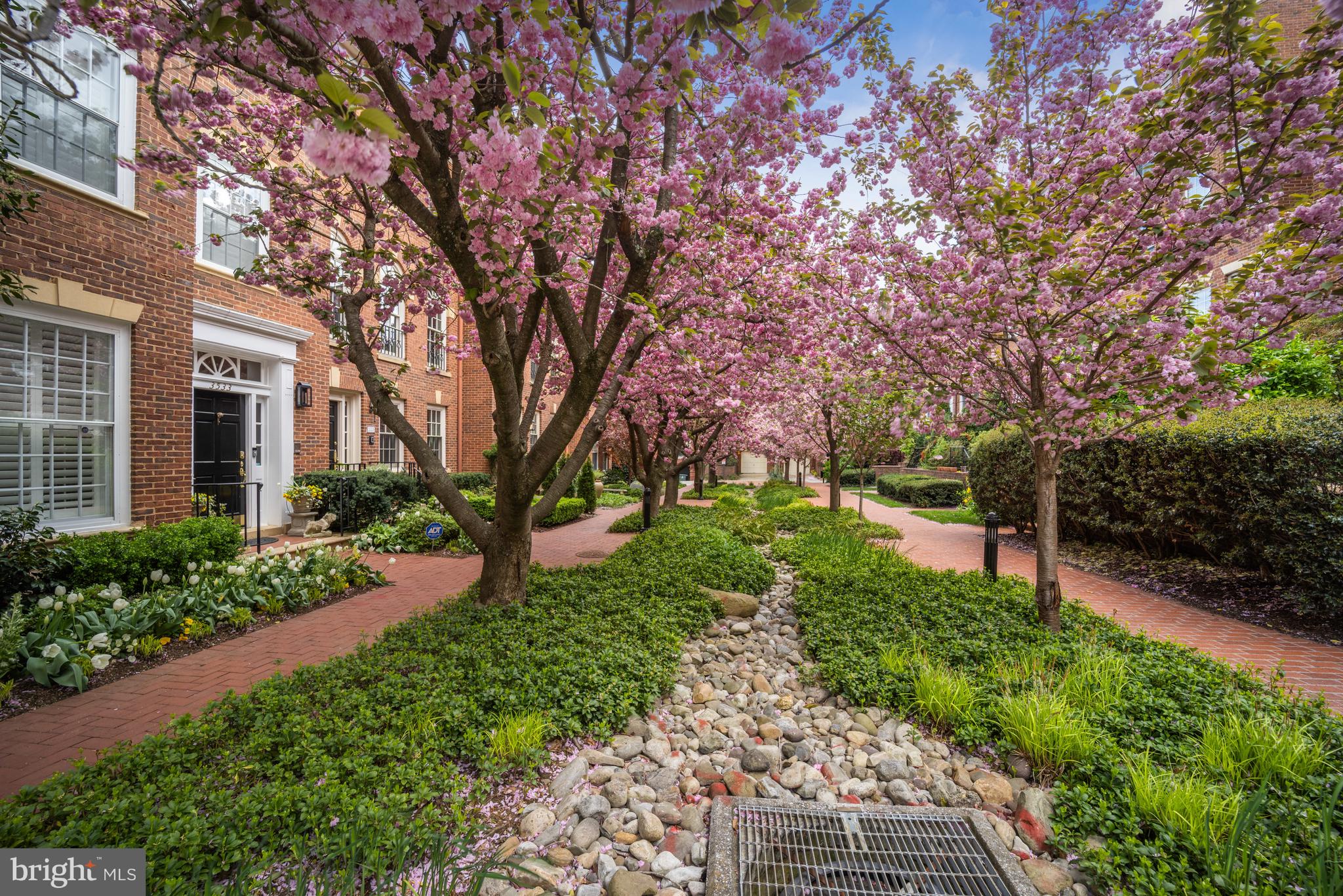 GEORGETOWN - Residential