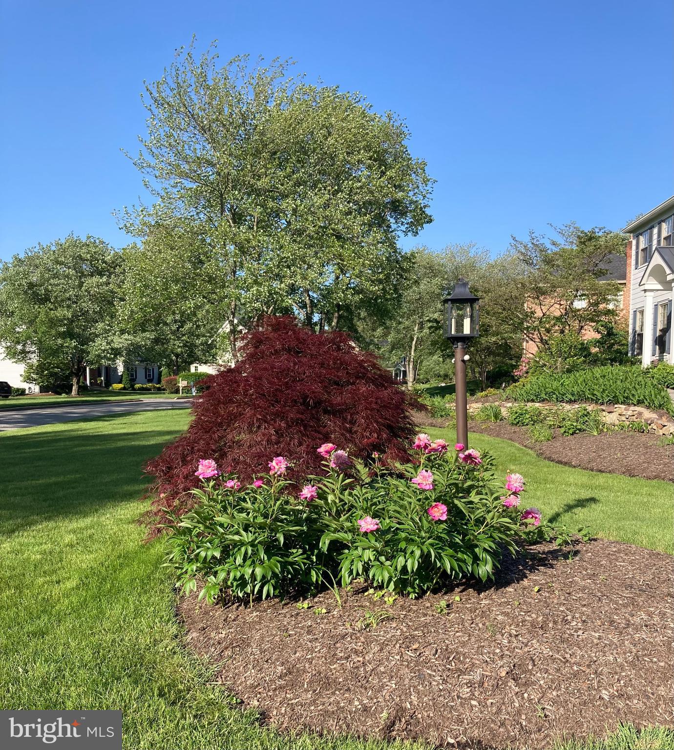 CANTERBURY WOODS - Residential