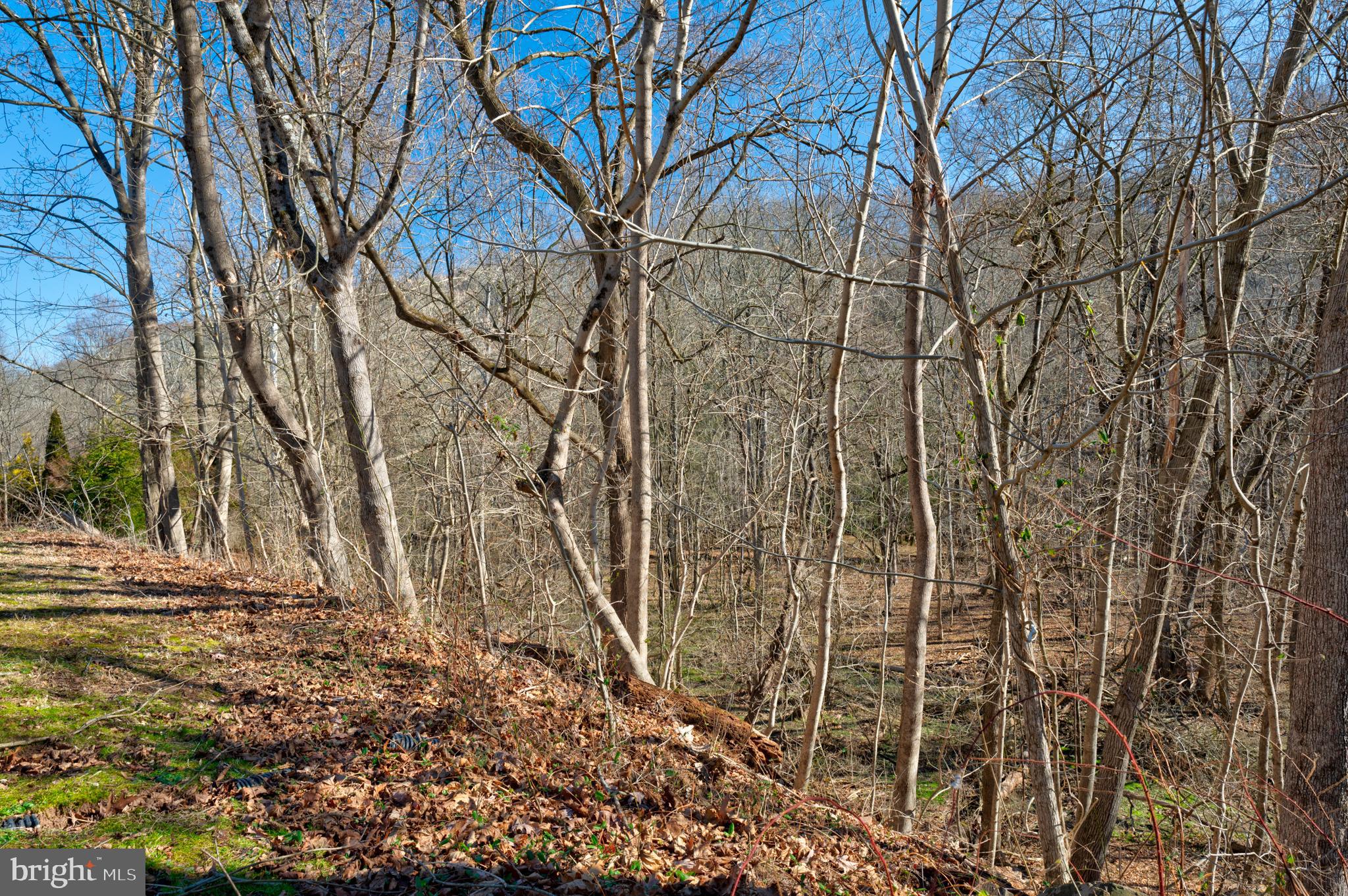 COLDSPRING CROSSIN - Residential