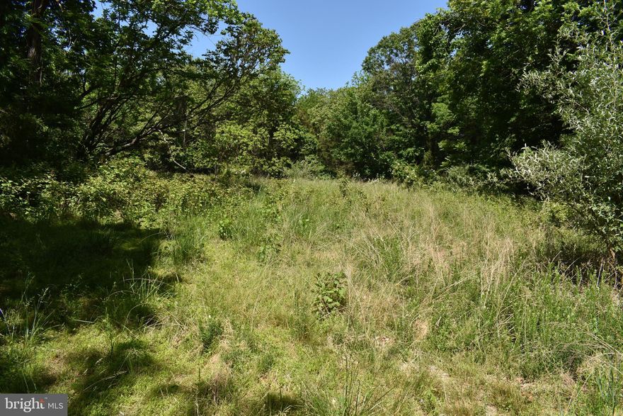 Amazing, rare lot off of Whitings Neck Rd in Berkeley County in the Spring Mills School District.  This lot sits in an easy to access off Whitings Neck Road.  There are multiple areas around lot for deep water Potomac River access.  This lot is not part of the community of Whitings Neck Farm Estates and is UNRESTRICTED.  Equestrian Facility is in near by as well and lot allows for horses and animals.  Again, this is unrestricted.  This five acre lot has a cleared section for easy building surrounded by wooded privacy.  Don't wait!