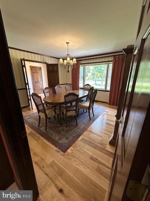 10165 JOHN CARVILL ROAD