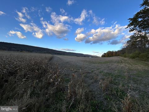 Lot #4 LINDEN HALL ROAD BOALSBURG PA 16827
