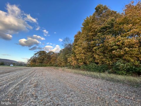 Lot #4 LINDEN HALL ROAD BOALSBURG PA 16827