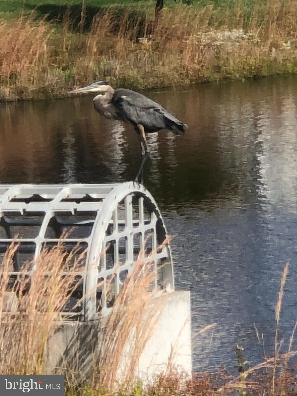 17010 BELLEVUE COURT