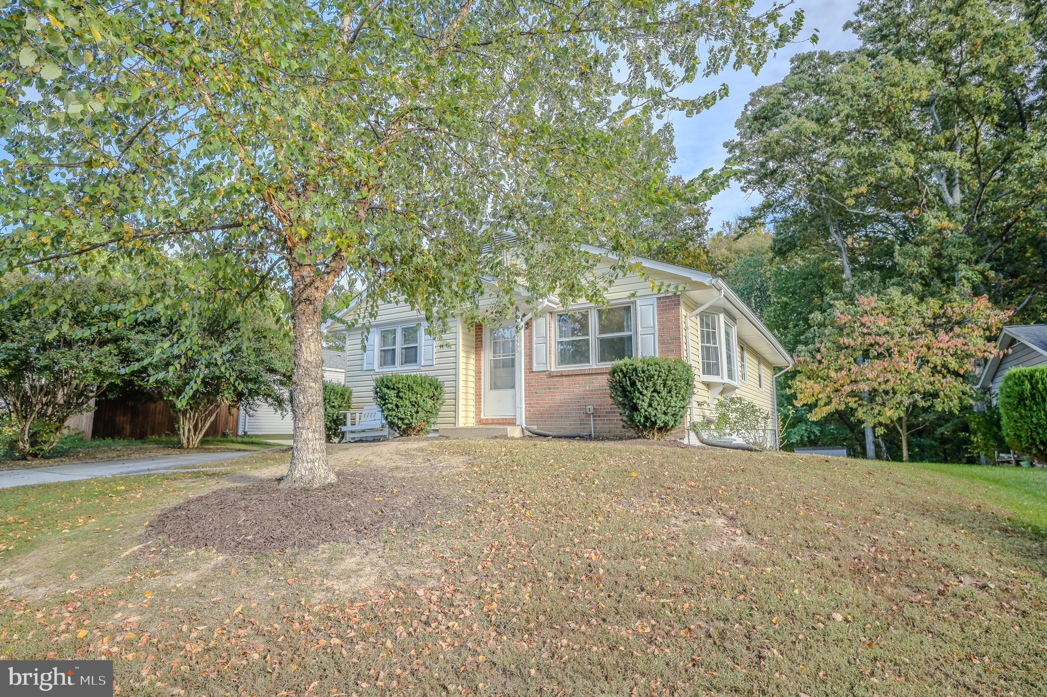 2893 CHALET COURT