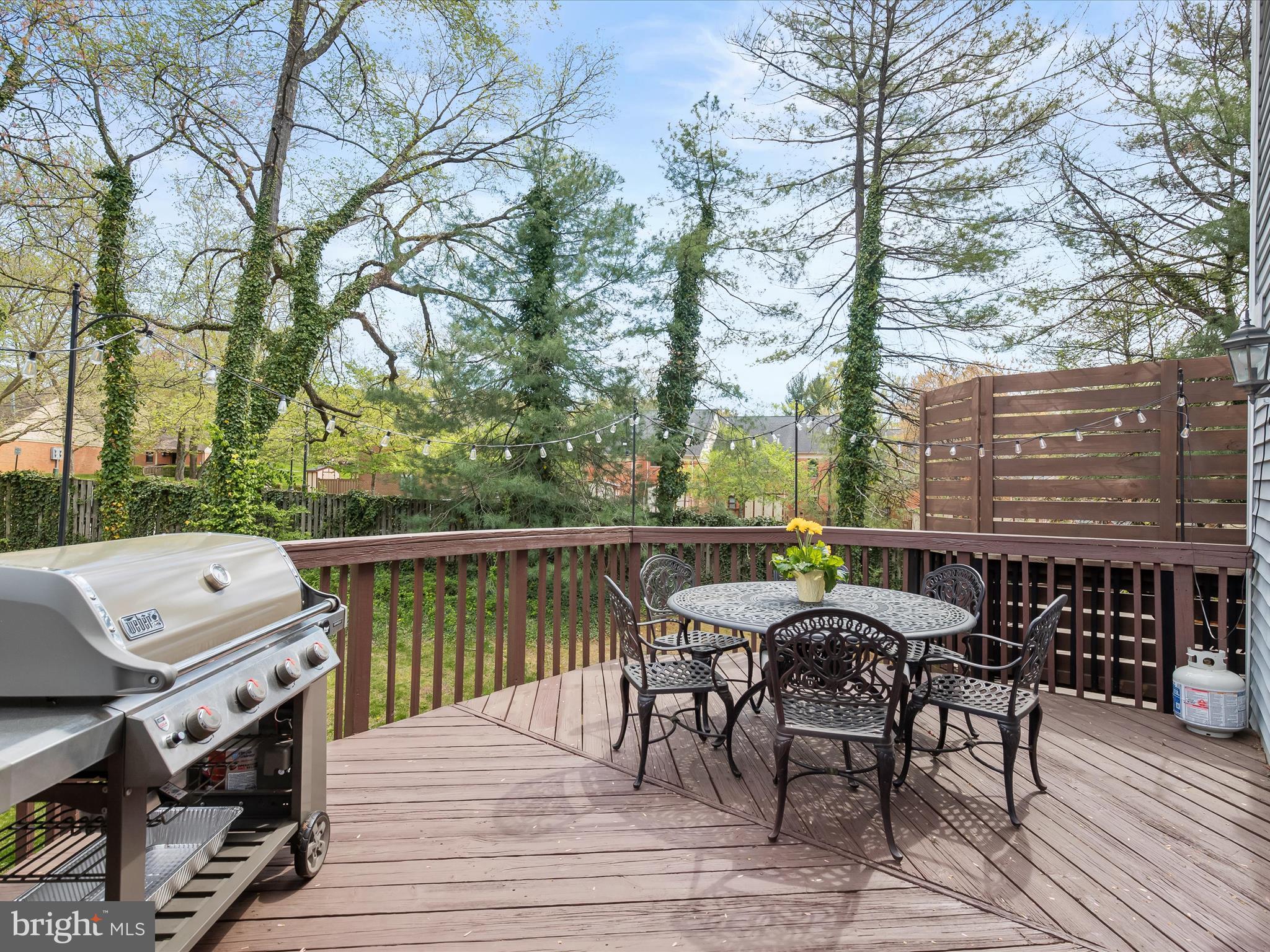 WILLIAMSBURG VILLAGE - Residential