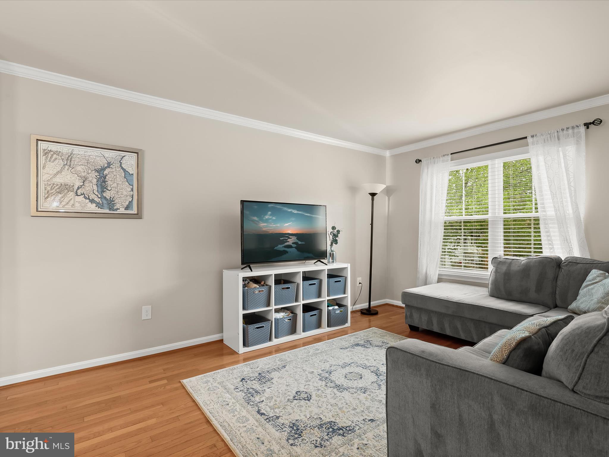 WILLIAMSBURG VILLAGE - Residential