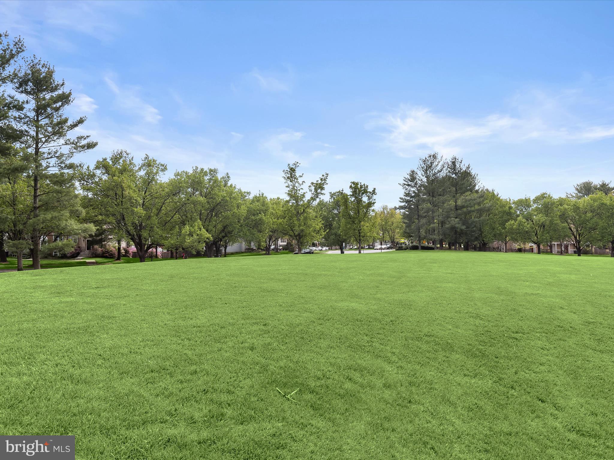 WILLIAMSBURG VILLAGE - Residential