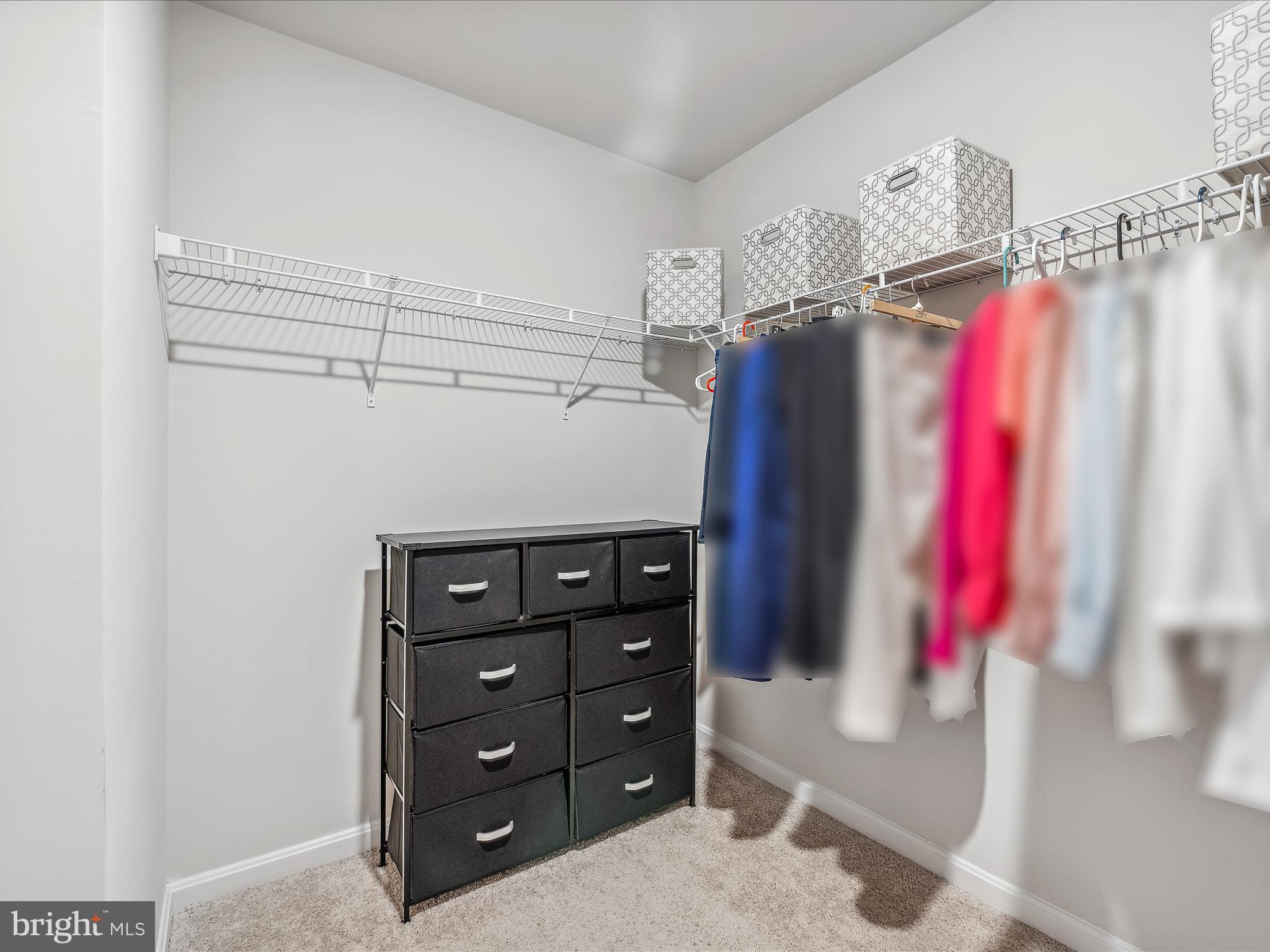 MAGNOLIA SPRINGS - Residential