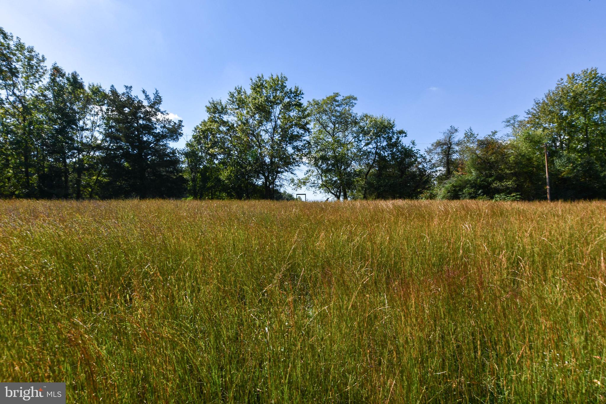 WALDORF - Residential